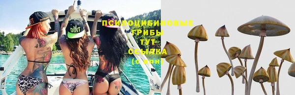 марки nbome Михайловка