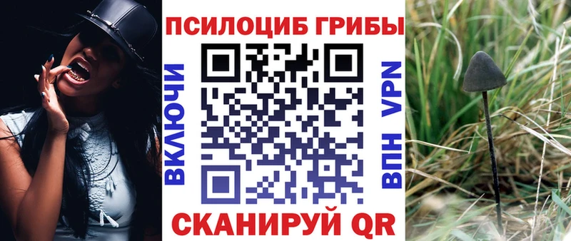 Псилоцибиновые грибы Magic Shrooms  hydra ссылки  Уссурийск  наркотики 