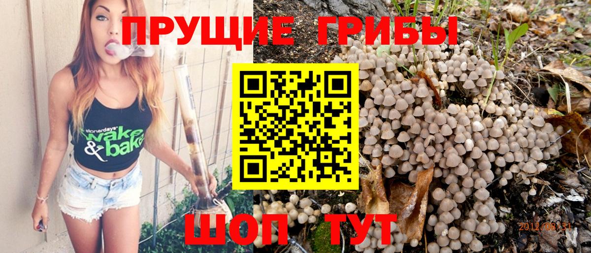 Уссурийск  Псилоцибиновые грибы прущие грибы  Галлюциногенные грибы Magic Shrooms  Вход с VPN 